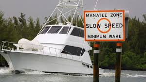 Manatee News1 3 8 2016