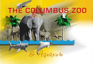 Manatee News Columbus-Zoo 8 12 2016